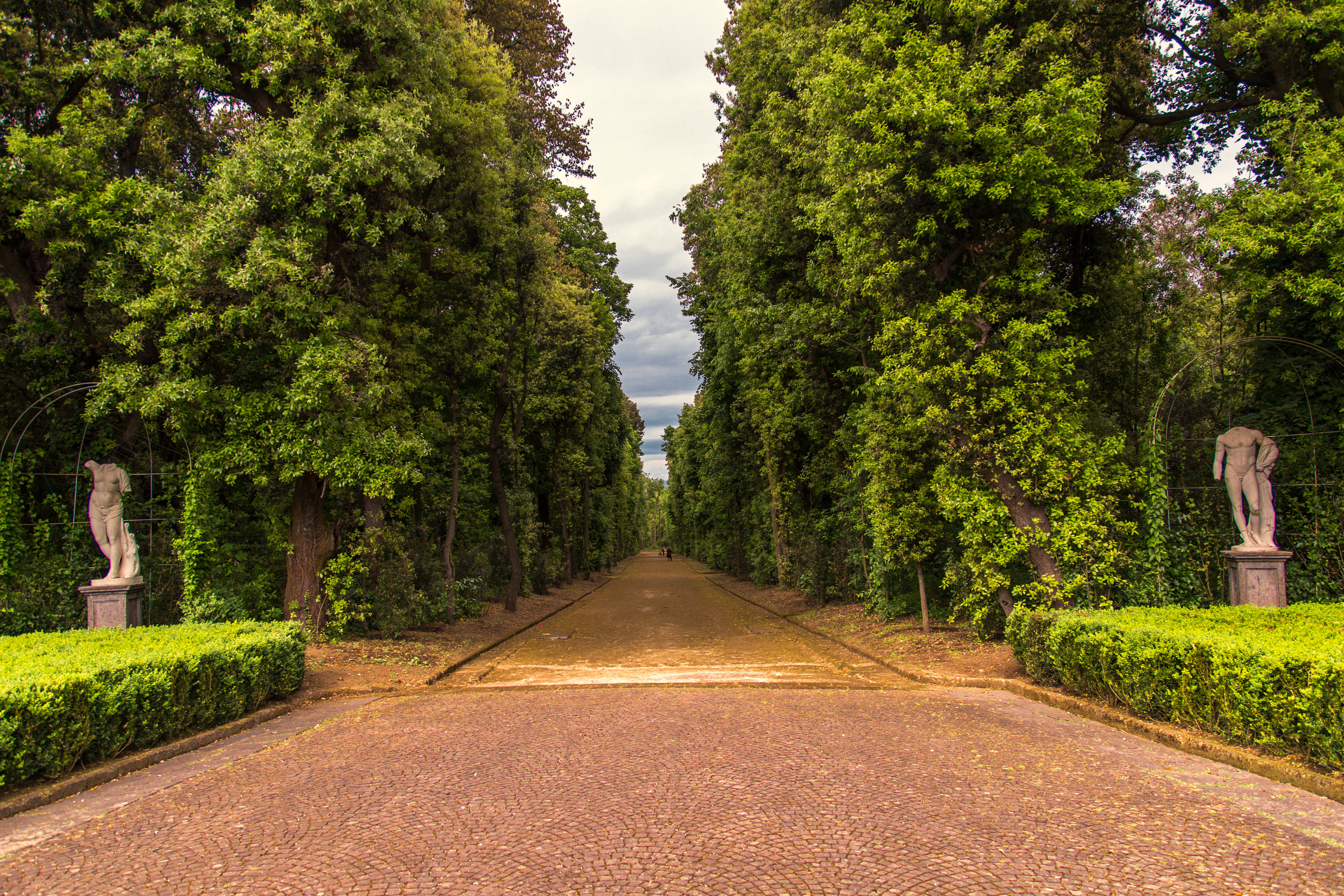Bosco di Capodimonte