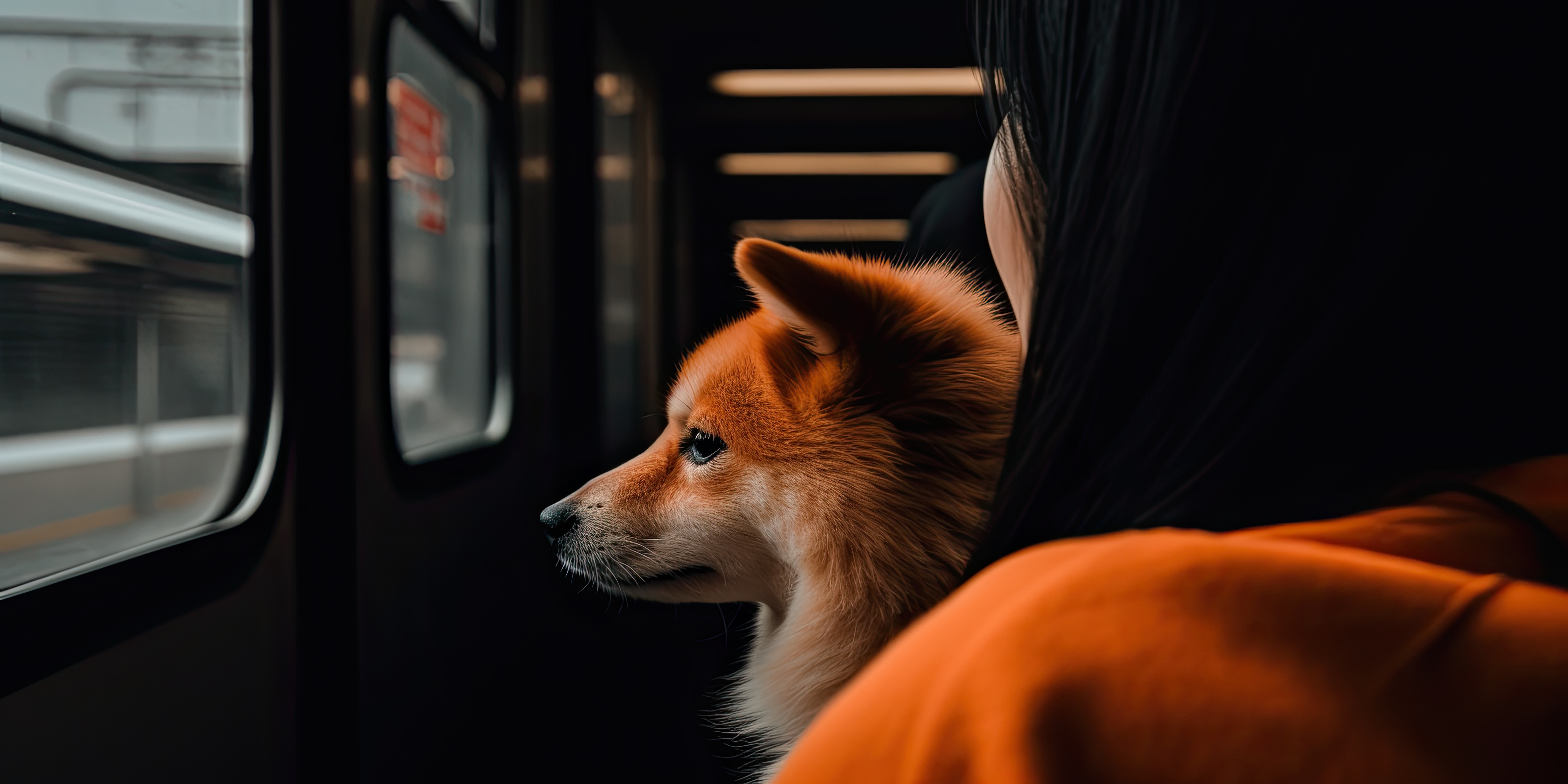 Cane in metro