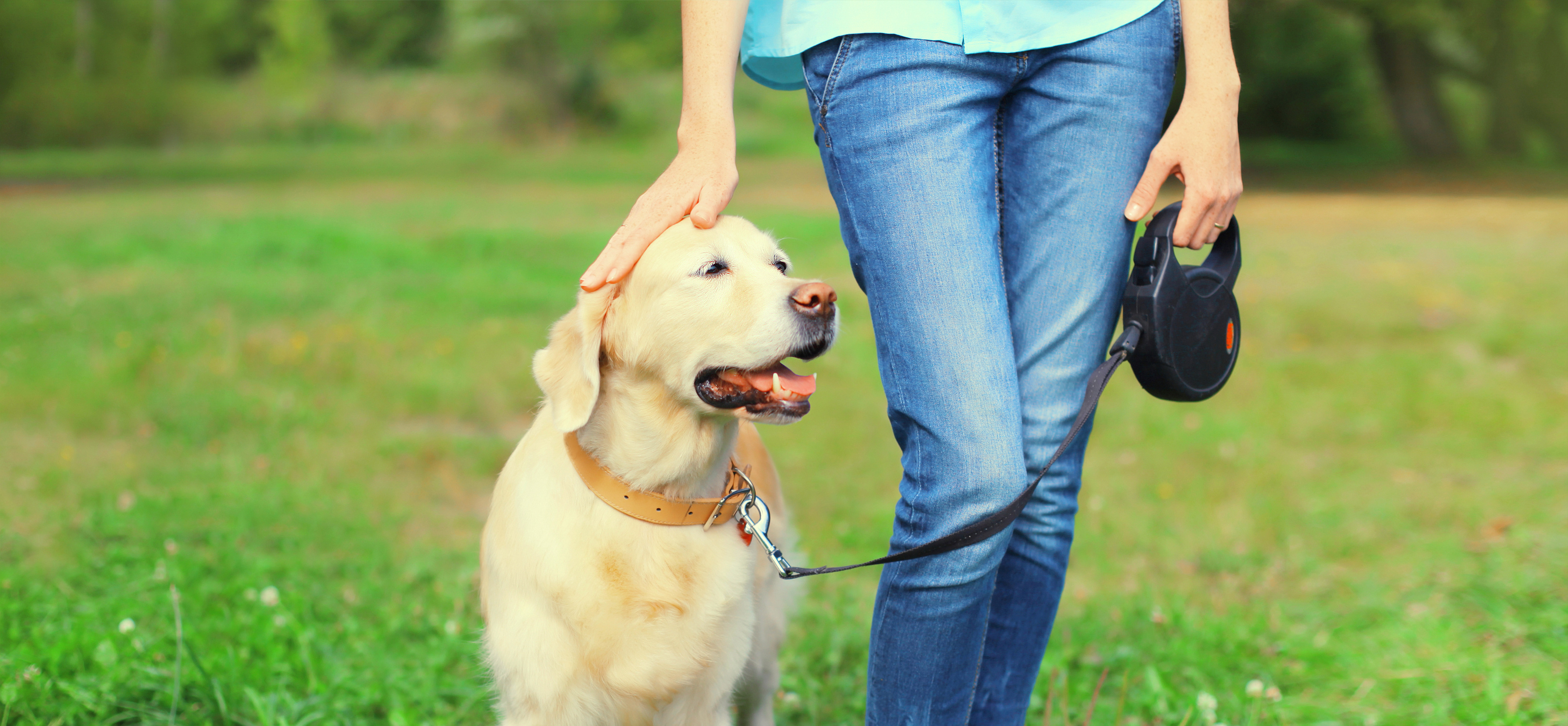 Fido al parco