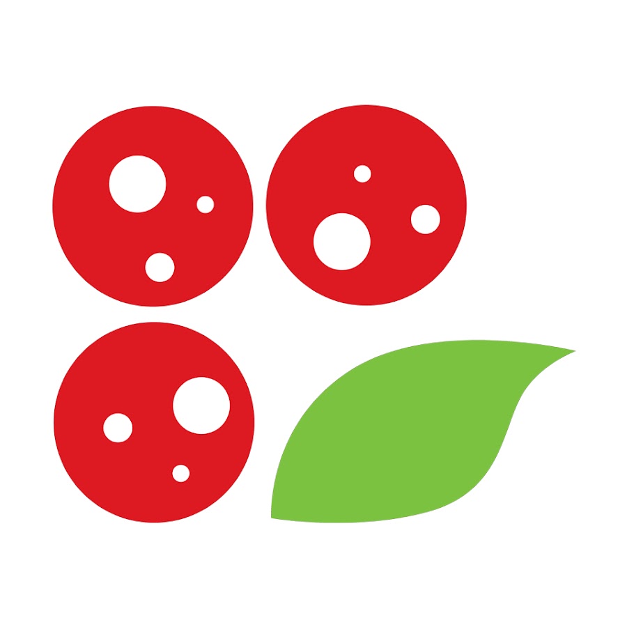 Logo Napoli Pizza Village
