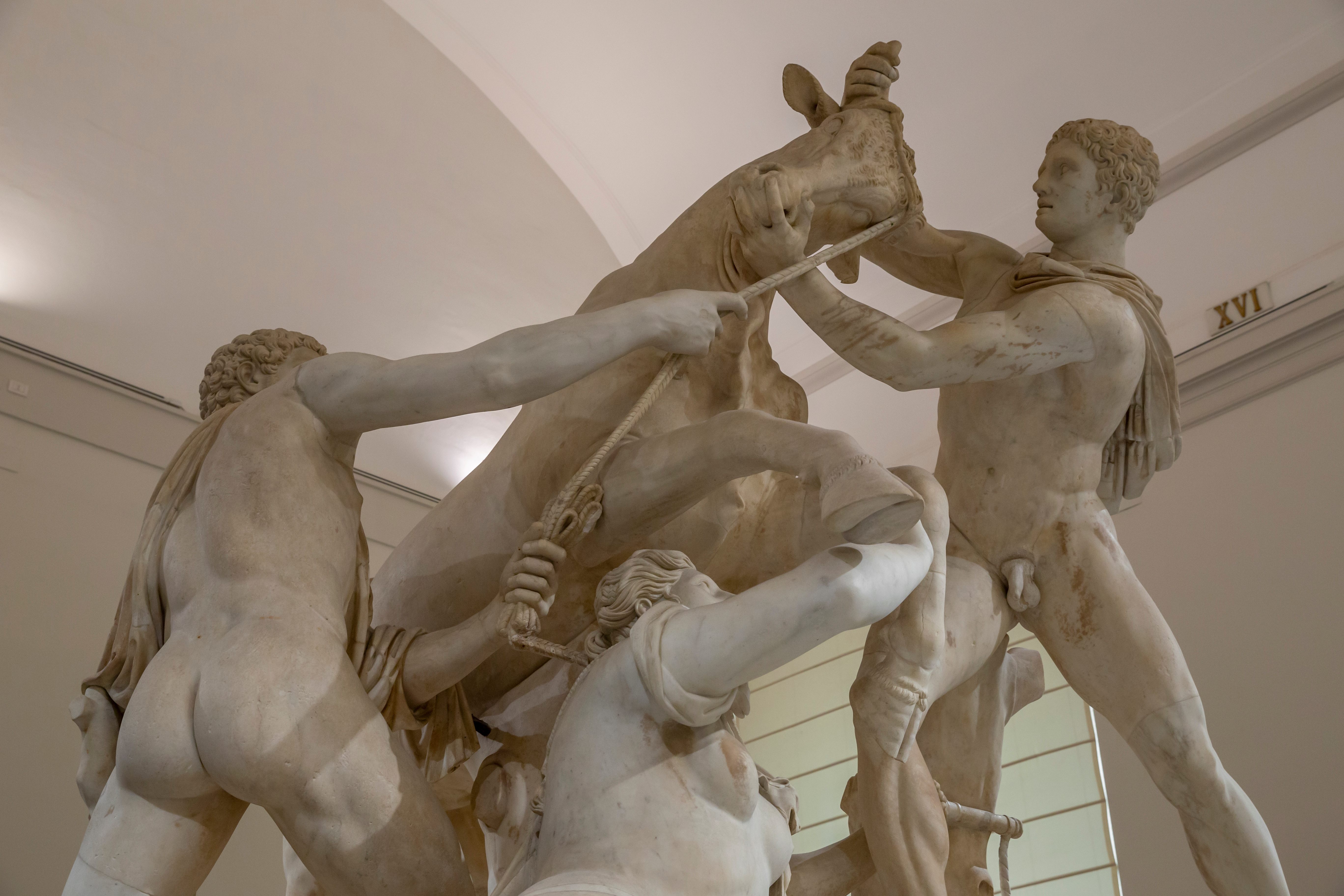 MANN_Ercole Farnese