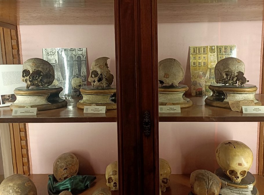 MUSA – Museo Universitario delle Scienze e delle Arti