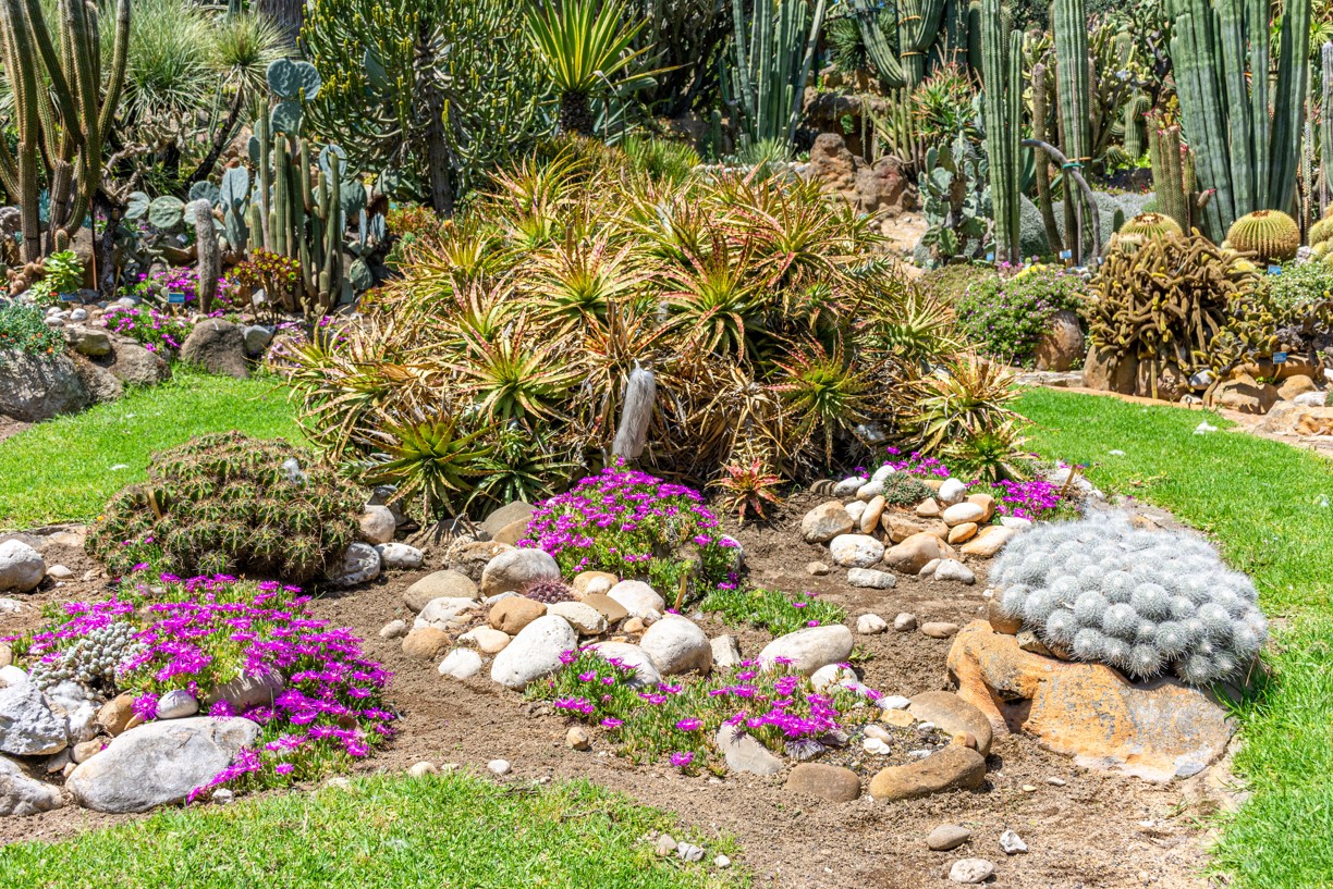 Real Orto Botanico